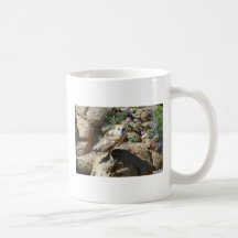 lechuza común taza