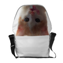Leckermäulchen gato pequeño en la bolsa bolsas messenger
