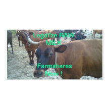 Legalice la leche cruda Farmshares Tarjetas Personales Con Fotos