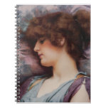 Lejos pintura al óleo de los pensamientos cuadernos