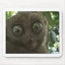 Lemur dramático alfombrilla de ratones