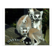 Lemurs Postales