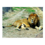 Leo Tarjeta Postal