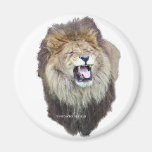 león africano imán para frigorífico