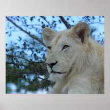 León blanco masculino RARO Impresiones