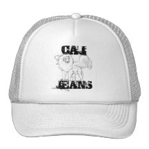 León con alas gorros  