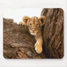 León Cub Tapete De Ratón