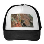 León de montaña gorro