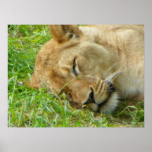 León el dormir impresiones