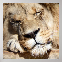 León el dormir posters
