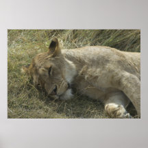 León en el poster de Tanzania
