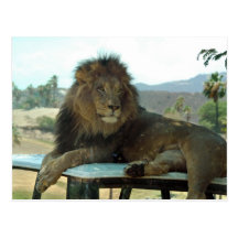 León en la postal del coche