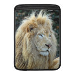 León Fundas Macbook Air