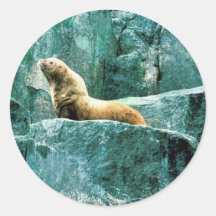 León marino de Steller Pegatina