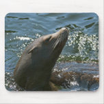 León marino Mousepad