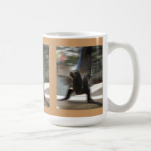 León marino que hace truco en el parque zoológico  tazas de café