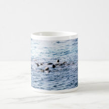 León marino Steller Taza De Café