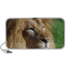 León Mini Altavoces