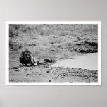León por el lago poster