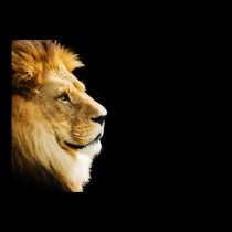 León posters