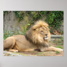 León Poster