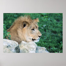 León Poster