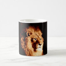 León Tazas De Café