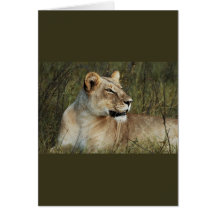 Leona - tarjetas de felicitación del safari