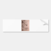 Leonardo da Vinci, dibujos de máquinas Etiqueta De Parachoque