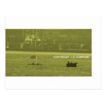 Leones del sello contra Kayakers Postales