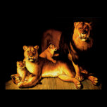 Leones posters