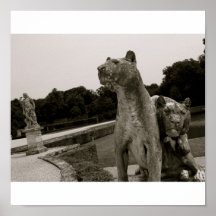 Leones y tigres poster