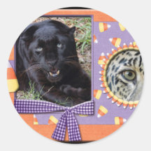 leopard-halloween-2010-0023-h etiqueta