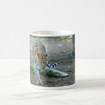 Leopardo de Amur Taza De Café