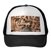 Leopardo en el diseño fresco del modelo de Navidad Gorros Bordados