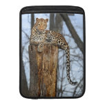 Leopardo en el reloj funda macbook air
