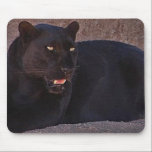 LEOPARDO NEGRO alfombrillas de raton 