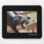 Leopardo negro, foto del conde de Barbara Tapetes De Ratón