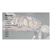 Leopardo nublado en registro tarjetas de negocios