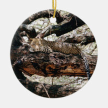 Leopardo Ornamentos De Reyes Magos