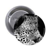 Leopardo Pin