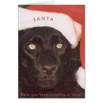 Leopardo Santa del negro tarjetas