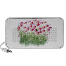 Leptosiphon Parviflorus, var Rosaceus Laptop Altavoces