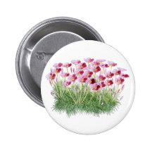 Leptosiphon Parviflorus, var Rosaceus Pins