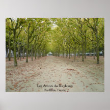 Les Arbres du Bordeaux Posters
