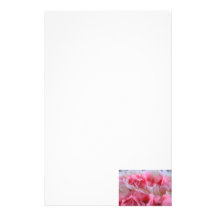 leus blancos rosados papeleria de diseño