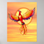 Levantamiento de Phoenix Impresiones