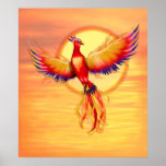 Levantamiento de Phoenix Poster