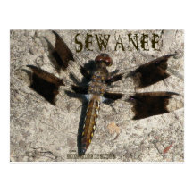 Libélula de Sewanee - OlioStudios.com Tarjeta Postal