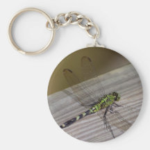 Libélula del insecto llavero